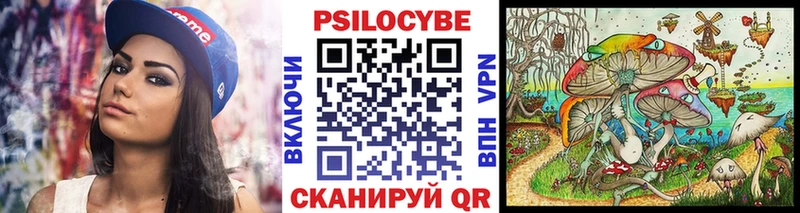 где найти   Чкаловск  blacksprut   Галлюциногенные грибы Psilocybe 